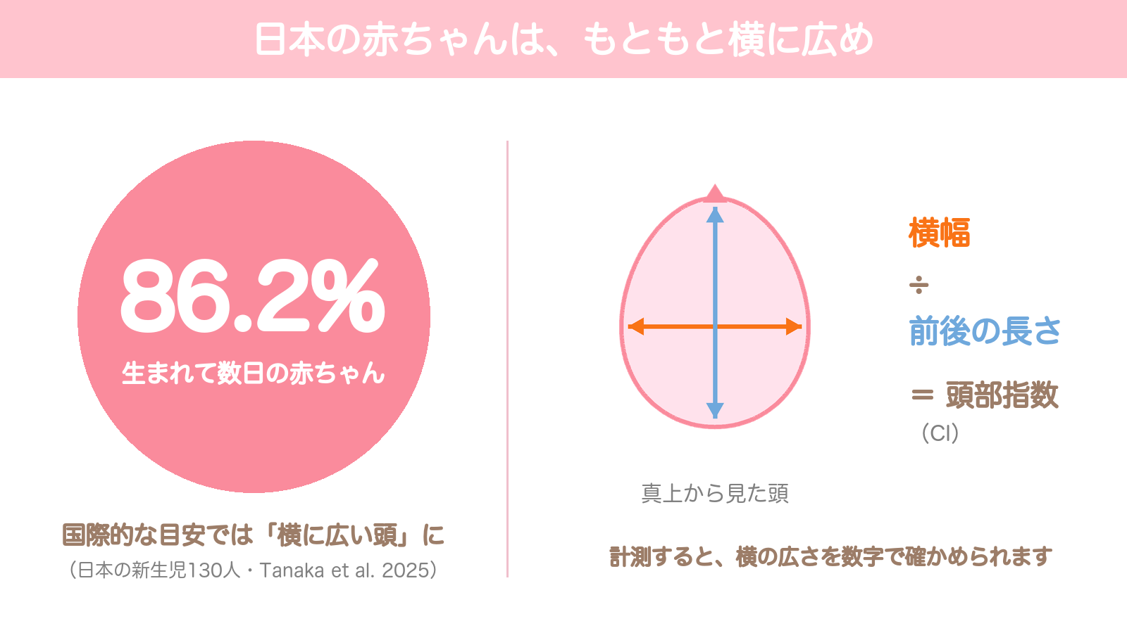 生まれて数日の日本の赤ちゃんの86.2％が国際的な目安で横に広い頭に当てはまったことと、頭部指数は横幅を前後の長さで割って求めることを示した図